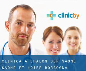 clinica a Chalon-sur-Saône (Saône-et-Loire, Borgogna)