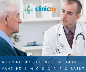 Acupuncture Clinic-Dr John Yang MD-L M C C-C A F C (Saint John)