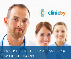 Blum Mitchell E MD Facs Inc (Foothill Farms)
