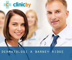 Dermatologi a Barney Ridge