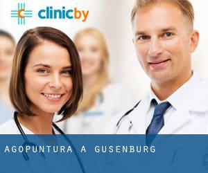 Agopuntura a Gusenburg