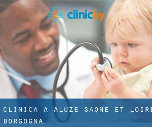 clinica a Aluze (Saône-et-Loire, Borgogna)