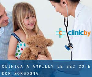 clinica a Ampilly-le-Sec (Cote d'Or, Borgogna)