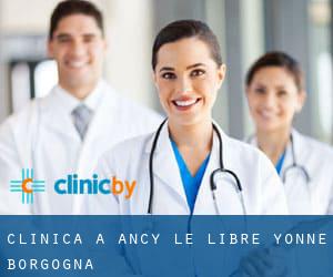 clinica a Ancy-le-Libre (Yonne, Borgogna)