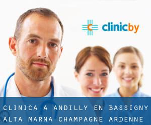 clinica a Andilly-en-Bassigny (Alta Marna, Champagne-Ardenne)