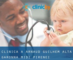 clinica a Arnaud-Guilhem (Alta Garonna, Midi-Pirenei)