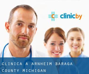 clinica a Arnheim (Baraga County, Michigan)