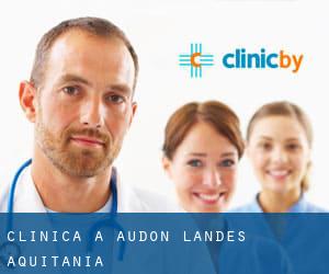 clinica a Audon (Landes, Aquitania)