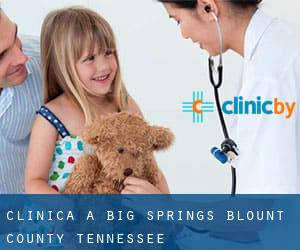clinica a Big Springs (Blount County, Tennessee)