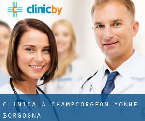 clinica a Champcorgeon (Yonne, Borgogna)