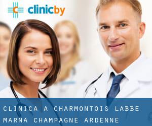 clinica a Charmontois-l'Abbé (Marna, Champagne-Ardenne)