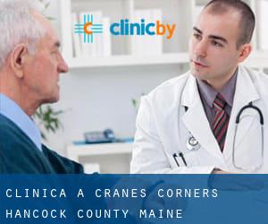 clinica a Cranes Corners (Hancock County, Maine)