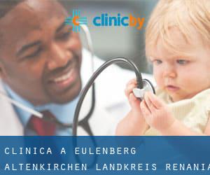 clinica a Eulenberg (Altenkirchen Landkreis, Renania-Palatinato)