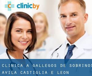 clinica a Gallegos de Sobrinos (Avila, Castiglia e León)