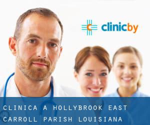 clinica a Hollybrook (East Carroll Parish, Louisiana)