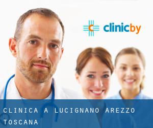 clinica a Lucignano (Arezzo, Toscana)