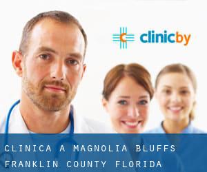 clinica a Magnolia Bluffs (Franklin County, Florida)