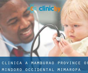 clinica a Mamburao (Province of Mindoro Occidental, Mimaropa)