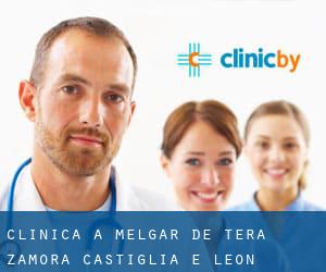 clinica a Melgar de Tera (Zamora, Castiglia e León)
