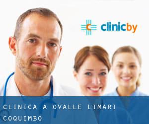 clinica a Ovalle (Limarí, Coquimbo)