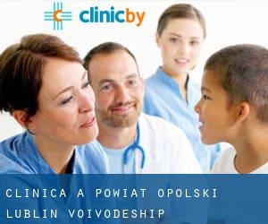 clinica a Powiat opolski (Lublin Voivodeship)