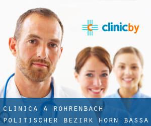 clinica a Röhrenbach (Politischer Bezirk Horn, Bassa Austria)