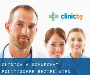clinica a Schwechat (Politischer Bezirk Wien Umgebung, Bassa Austria)