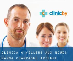clinica a Villers-aux-Nœuds (Marna, Champagne-Ardenne)