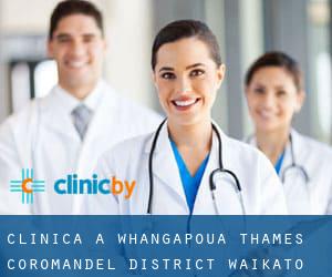clinica a Whangapoua (Thames-Coromandel District, Waikato)