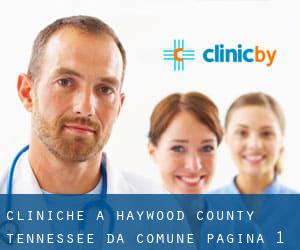 cliniche a Haywood County Tennessee da comune - pagina 1