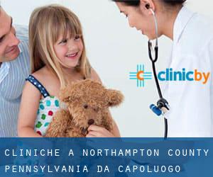 cliniche a Northampton County Pennsylvania da capoluogo - pagina 1