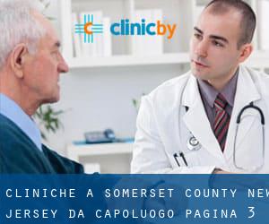 cliniche a Somerset County New Jersey da capoluogo - pagina 3