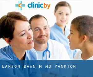 Larson Dawn M MD (Yankton)
