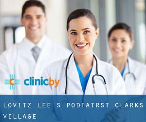 Lovitz Lee S Podiatrst (Clarks Village)